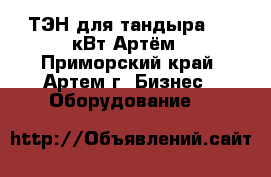 ТЭН для тандыра 3,5 кВт Артём - Приморский край, Артем г. Бизнес » Оборудование   